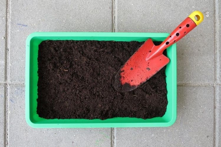 Fertilize Plants With Compost