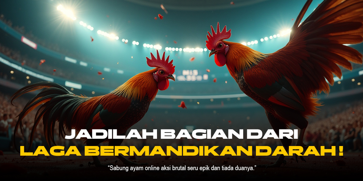 Mengulik SV388: Dunia Sabung Ayam Online Penuh Sensasi